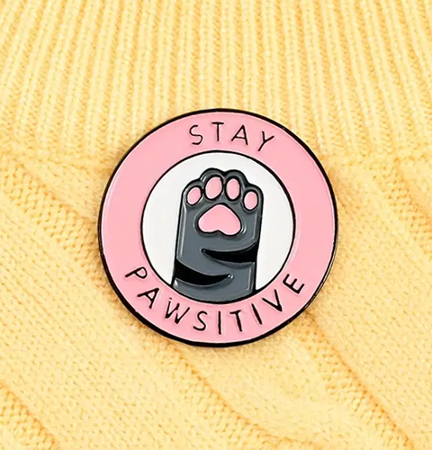 fun cat enamel pin for friends family co workers gift birthdays