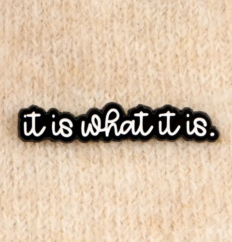 funny enamel pin