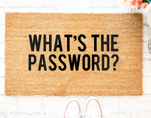 password funny door mat new home gift