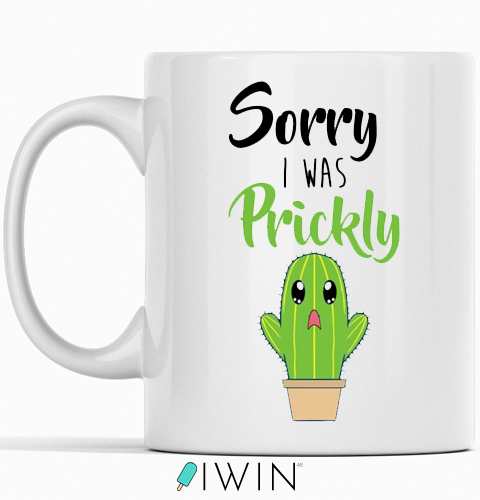 cute funny cactus gift for her dubai abu dhabi