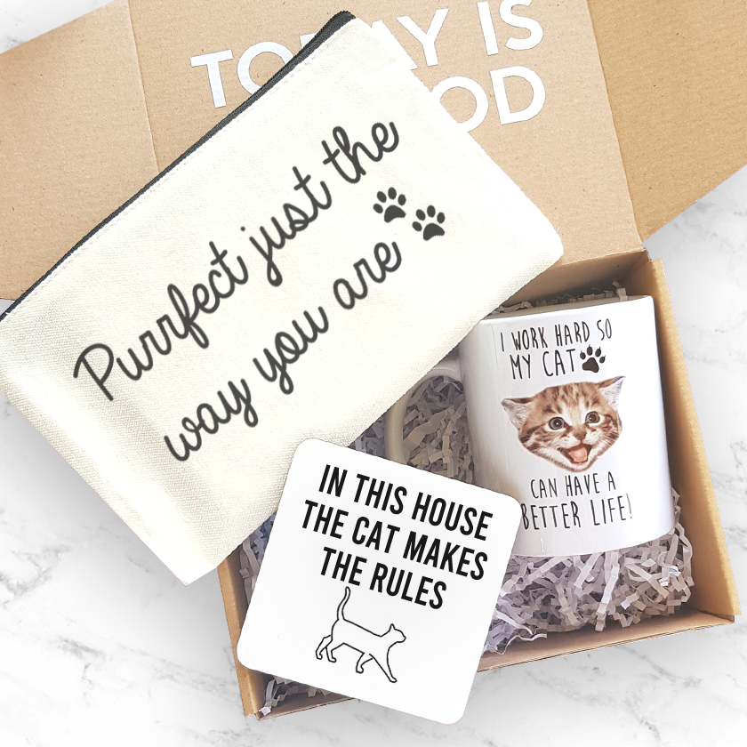 Cat hotsell gift box