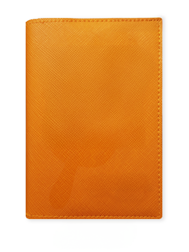 Caramel Colour Passport Cover