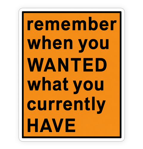 Sticker - Remember when you wanted